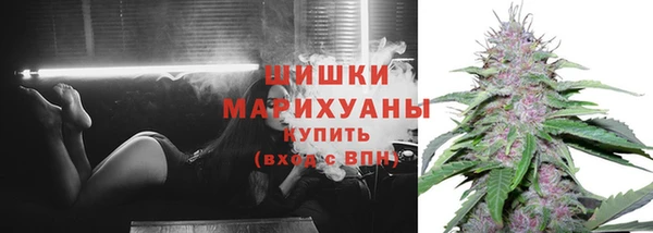 кокс Тайга