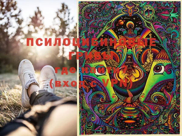 мет Белокуриха